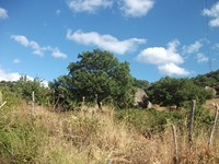 gale-20120725 053